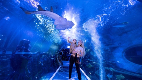 SEA LIFE Birmingham