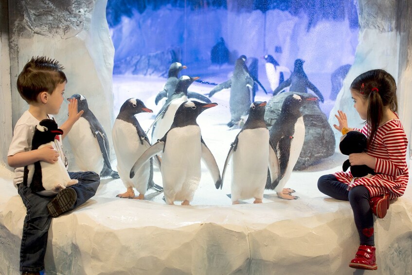 Two children sit next a penguin exhibit at Sea Life Birmingham