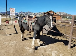 Estes Park 1 Hour Ride