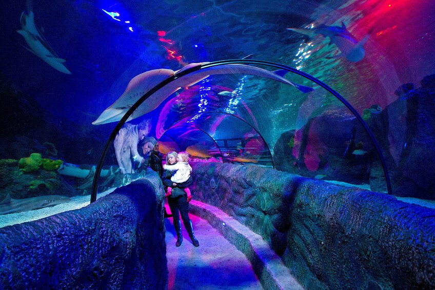 Mother and child visiting the SEA LIFE Loch Lomond aquarium