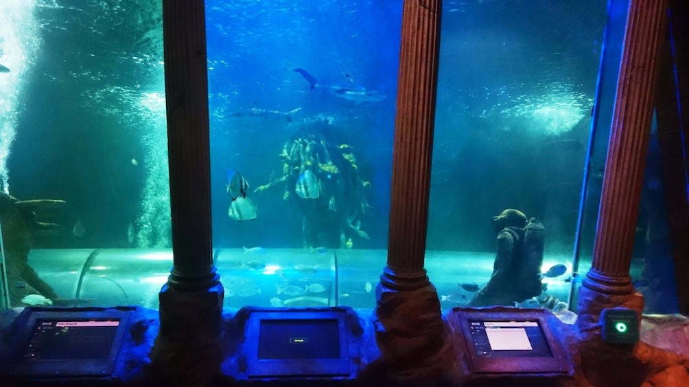 SEA LIFE Great Yarmouth