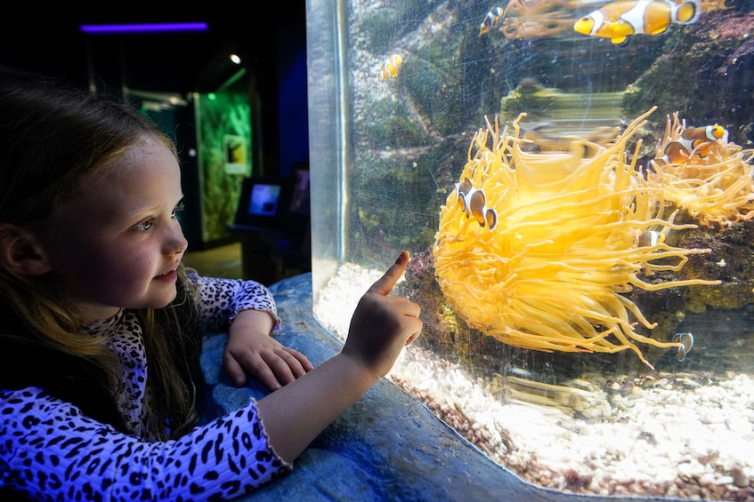 SEA LIFE Great Yarmouth