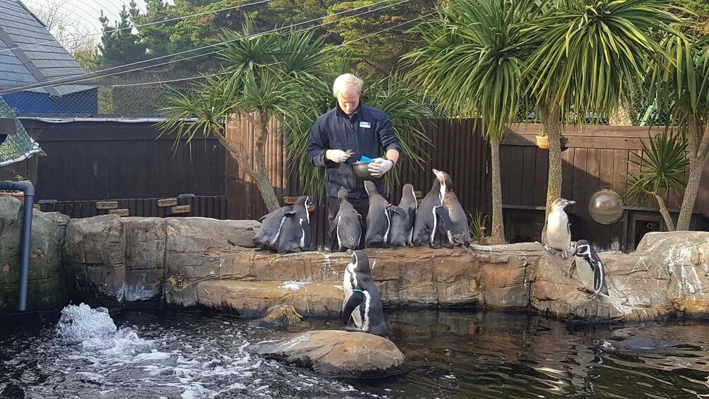 SEA LIFE Weymouth