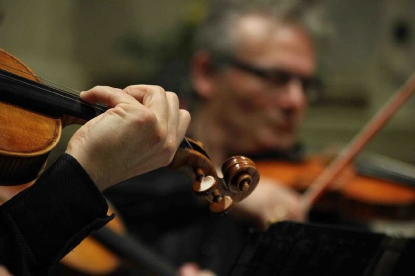 Closeup of violinists in concert