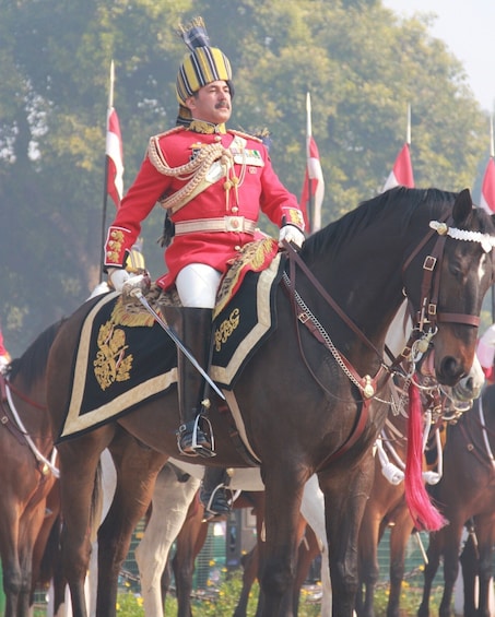 Changing of the Guard at Buckingham Palace PRIVATE TOUR