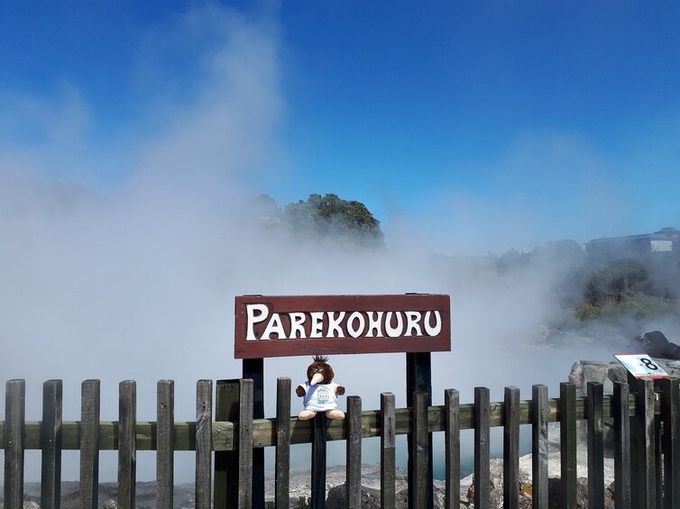 Rotorua Cultural and Rejuvenation Tour