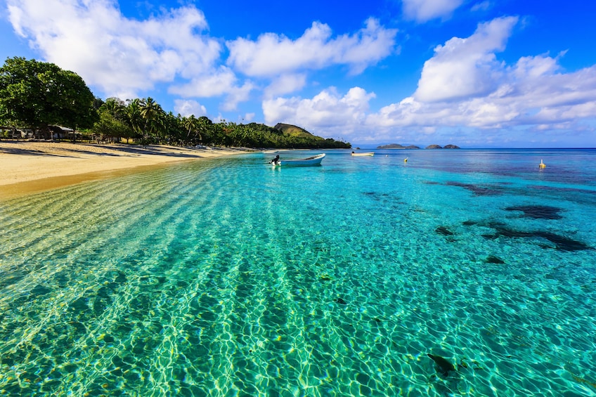 Fiji Day Cruise - Snorkelling, Swimming and Exploring