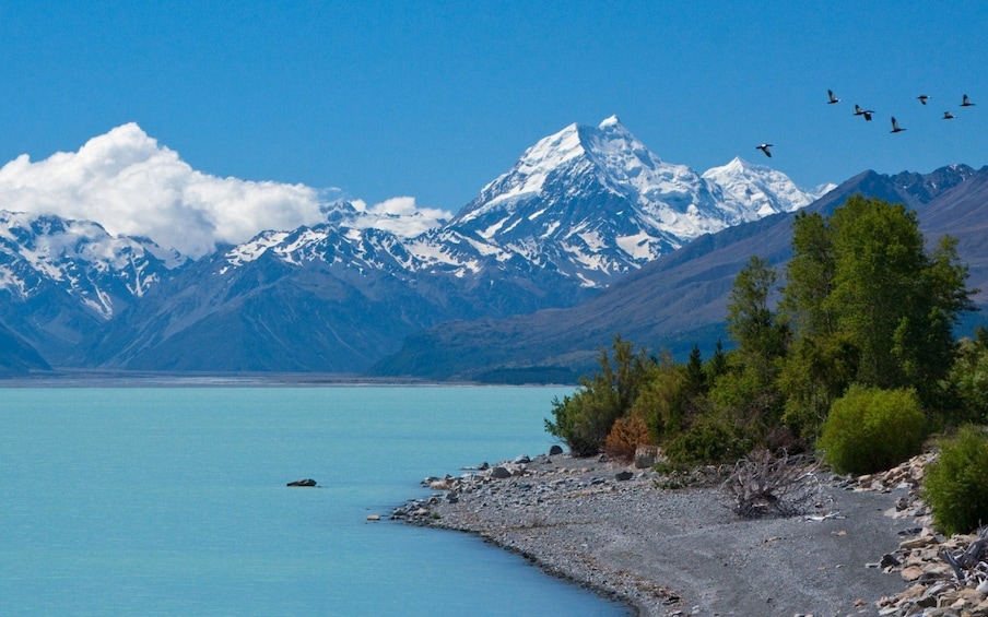 Lake Pukaki and Mount Cook in South Island, New Zealand