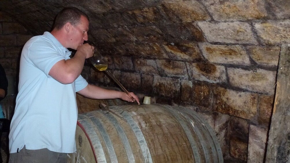 Half-day Countryside Wine Tour near Budapest with Meal