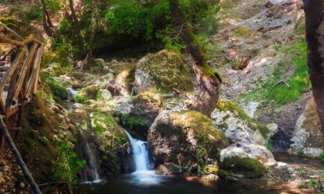 Das Tal der Schmetterlinge und Halki Tagestour