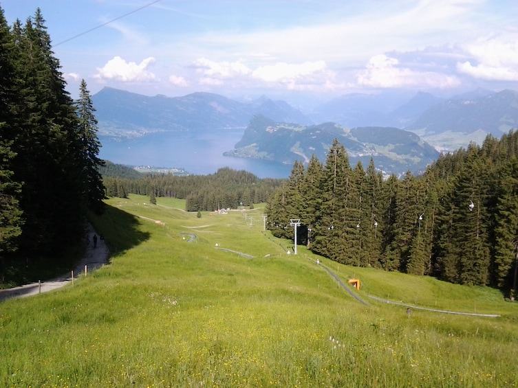 Show item 4 of 10. Mount Pilatus golden round trip & boat cruise from Basel