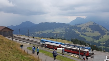 Mount Rigi round tour & lake boat cruise from Zurich