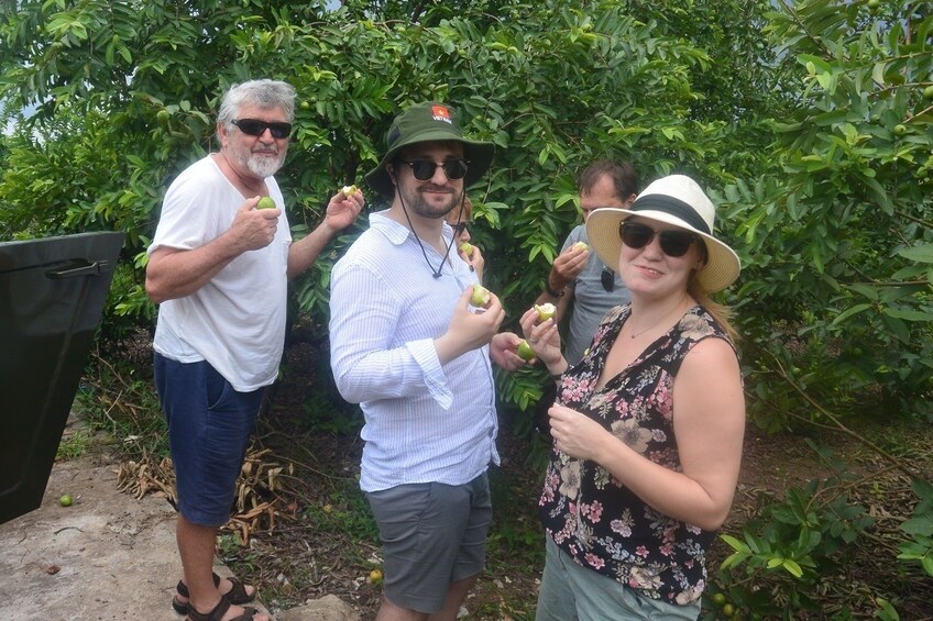 Tour group eating fruit in Hanoi