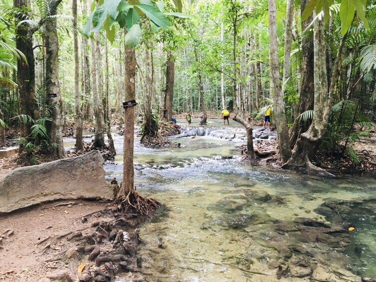 Jungle Tour to Emerald pool, Krabi Hot Spring waterfall