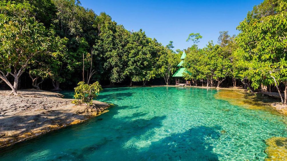 Jungle Tour to Emerald pool, Krabi Hot Spring waterfall