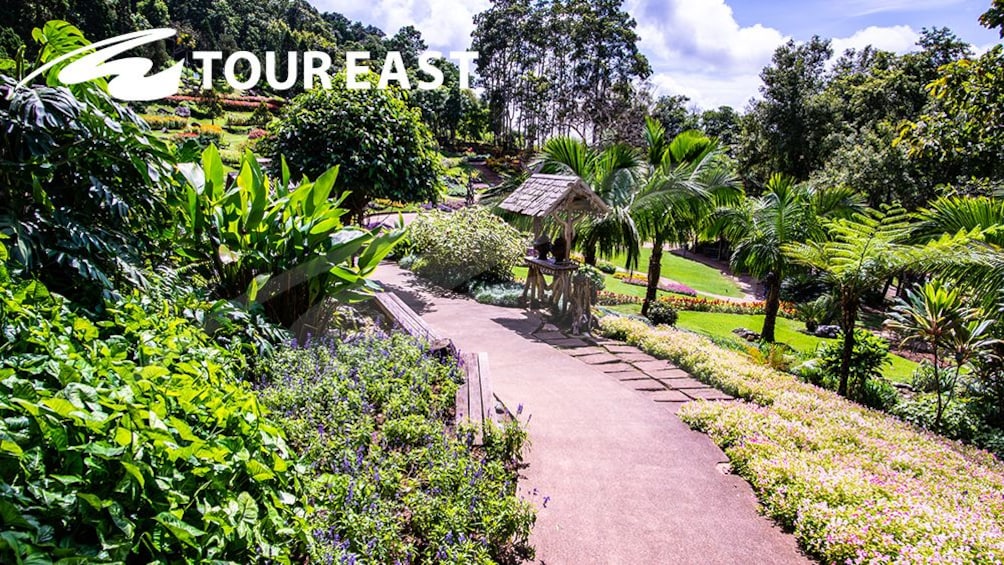 Beautiful Mae Fah Luang Garden