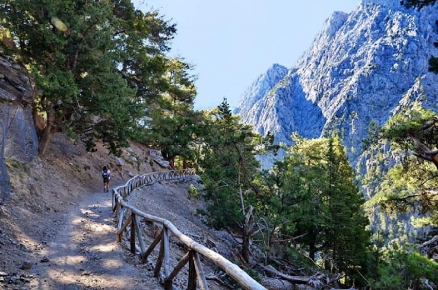 Samaria Gorge Tour from Chania - The Longest Gorge in Europe