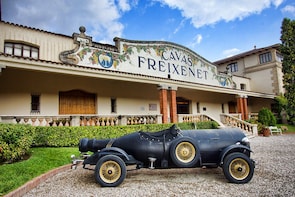 Penedes Wine & Cava: Jean Leon, Torres and Freixenet
