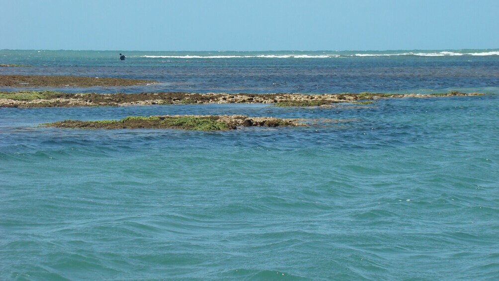 Tour To Mundaú Beach