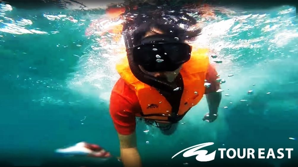 Snorkeler in Thailand