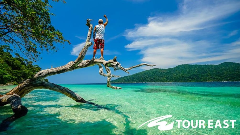 Man standing on a weathered tree above the water on a Thailand beach