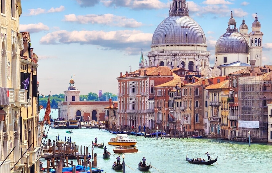 Grand Canal: 100 Amazing Palaces Boat Tour Small Group