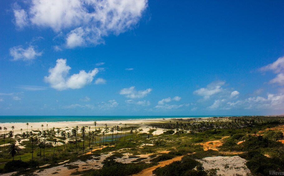 Tour To Aguas Belas Beach