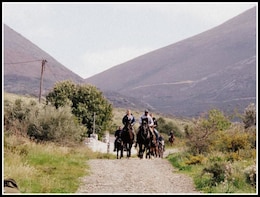Horse Riding Excursions from Kalamata