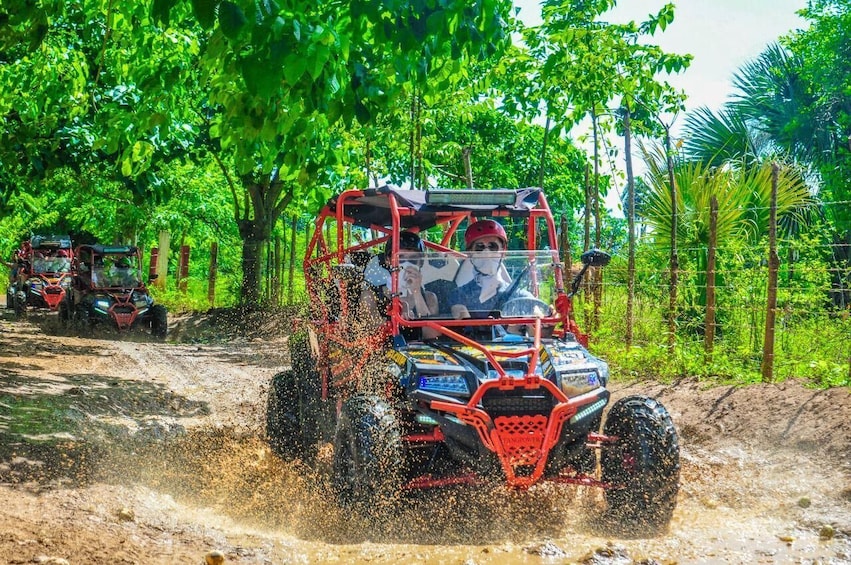 Predactor Buggy Adrenaline Adventure with Cave Swim and Beach
