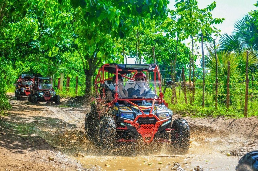 Predactor Buggy Adrenaline Adventure with Cave Swim and Beach 