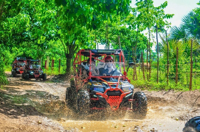 Predactor Buggy Adrenaline Adventure with Cave Swim and Beach