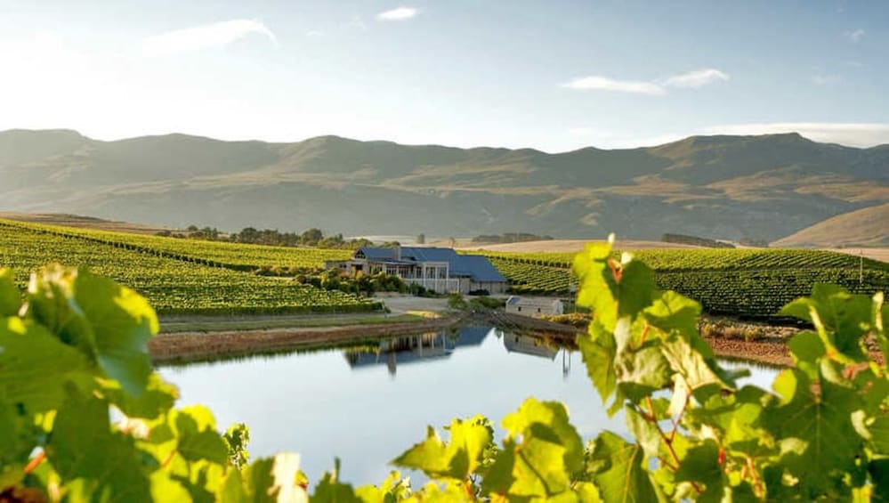Show item 4 of 5. Cape Agulhas & Winelands full day tours
