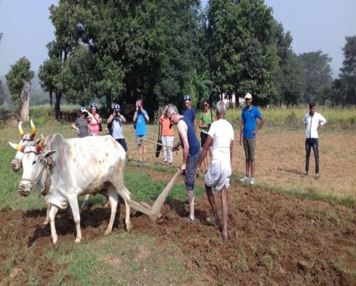 Private Rural Bicycle tour in Udaipur