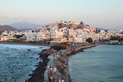 Tour in autobus intorno all'isola di Naxos