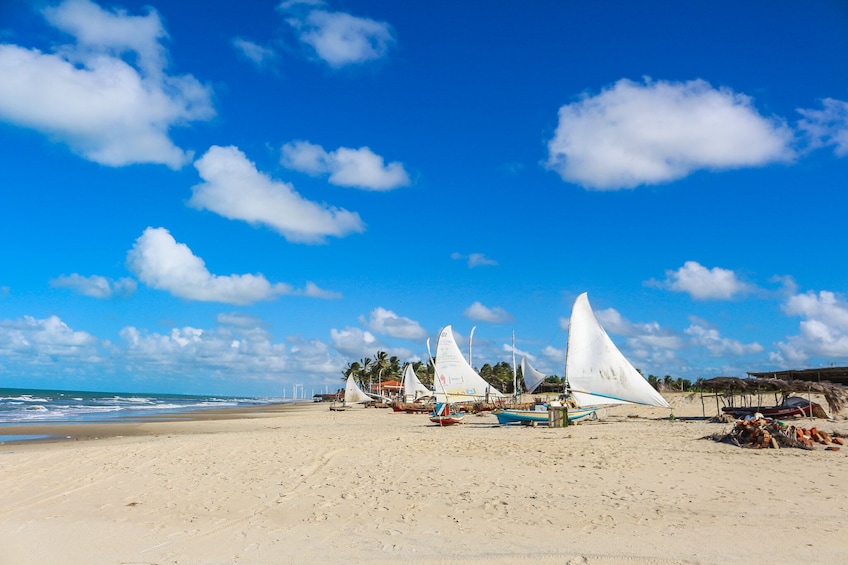 Tour To Morro Branco And Fontes Beach