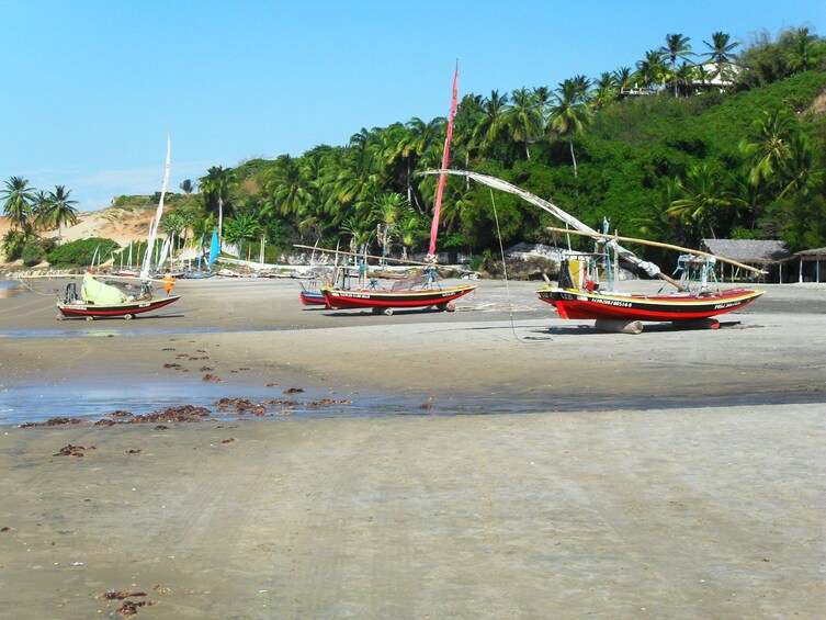 Tour To Lagoinha Beach	