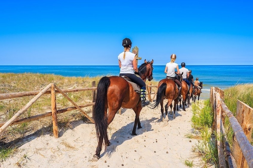 Horse Riding – Evening Ride in Paros