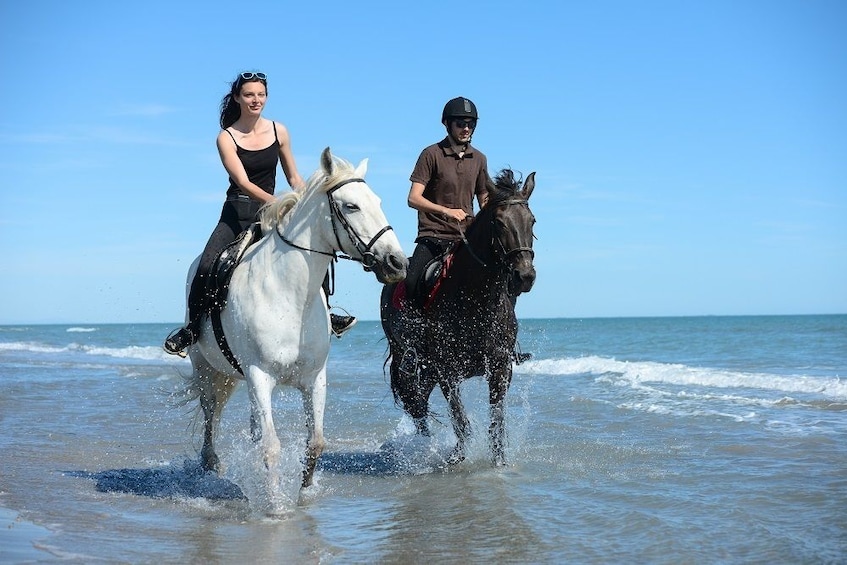 Horse Riding – Evening Ride in Paros