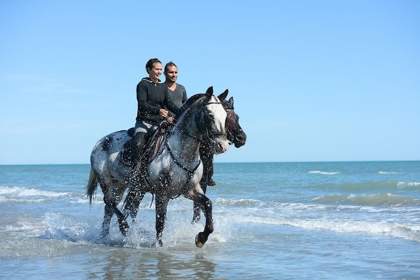 Show item 5 of 5. Horse Riding – Evening Ride in Paros