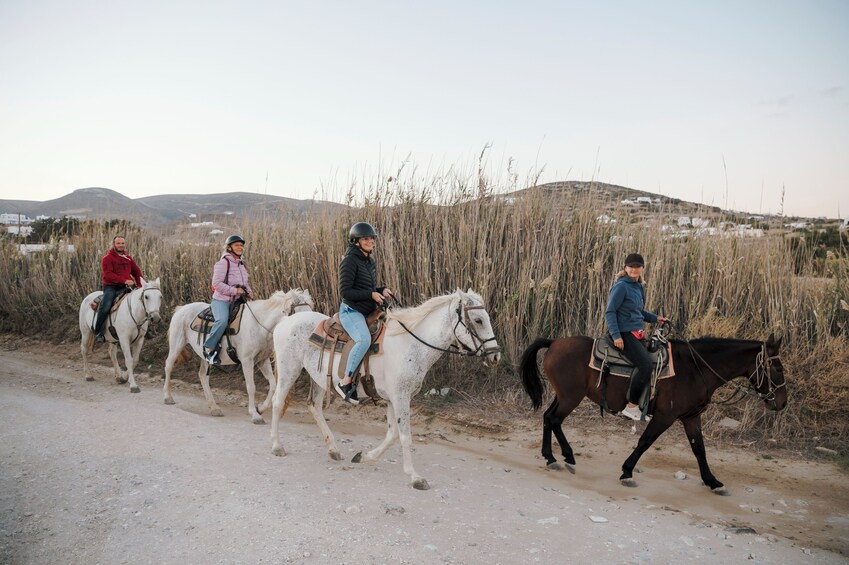 Horse Riding – Morning Ride in Paros