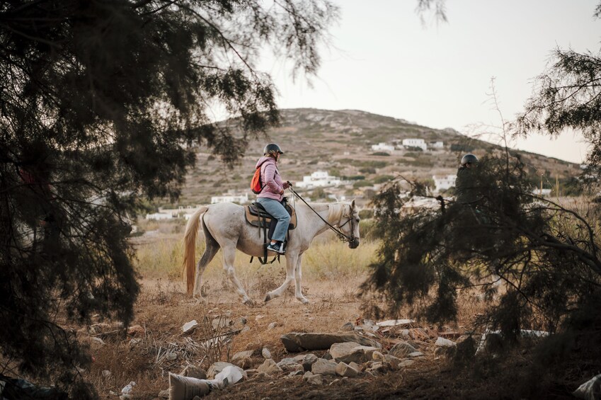 Horse Riding – Morning Ride in Paros