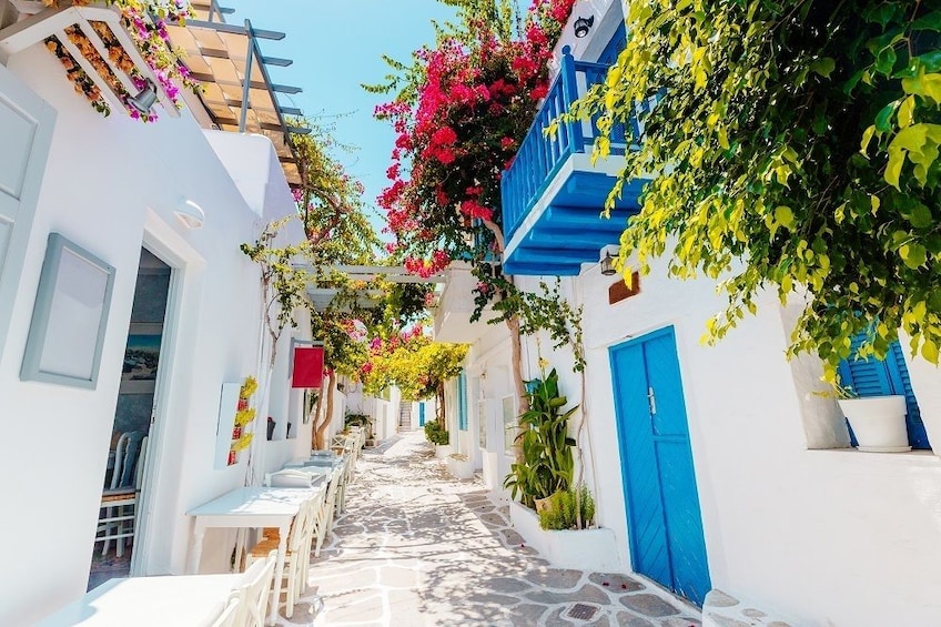 Paros Bus Island Tour