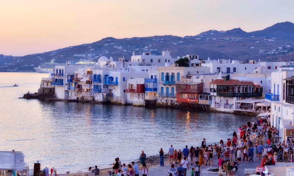 Daily Cruise from Paros to Delos Mykonos