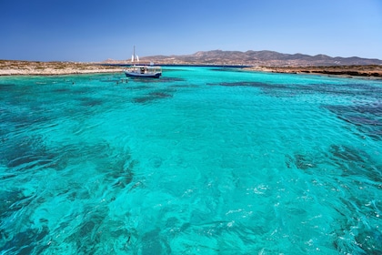 Daily Cruise from Paros to Delos Mykonos