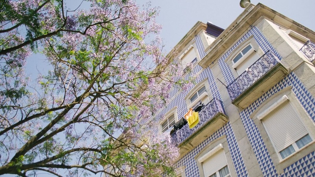 Porto's Ribeira Walking Tour