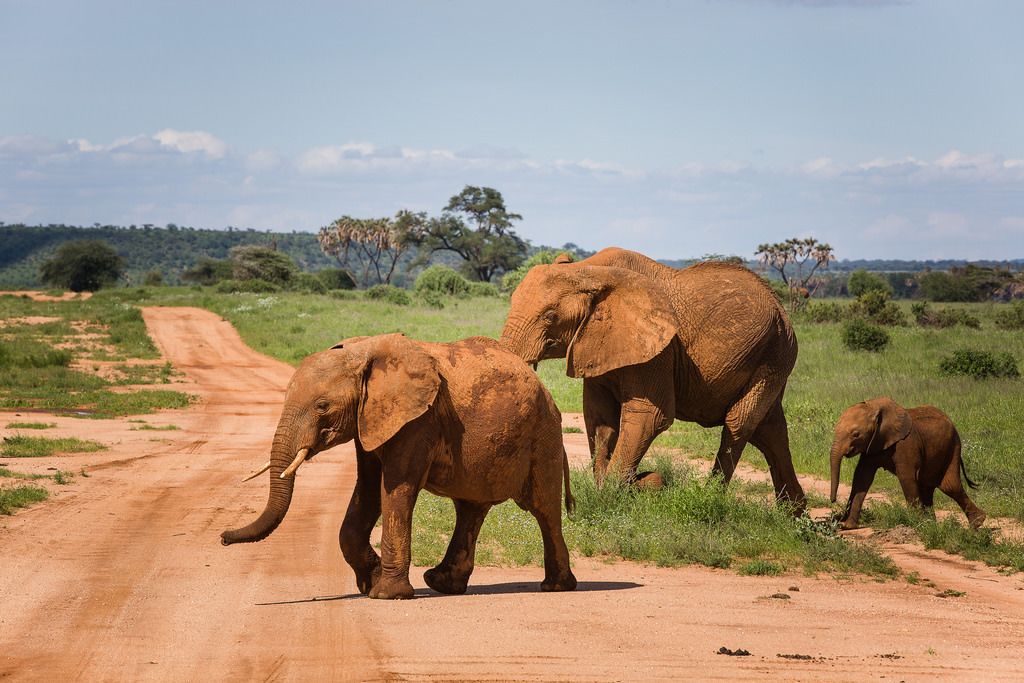 10 TOP Things to Do in Nanyuki (2020 Attraction & Activity Guide) | Expedia