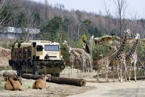 Everland Theme Park Admission with Transfer from Seoul