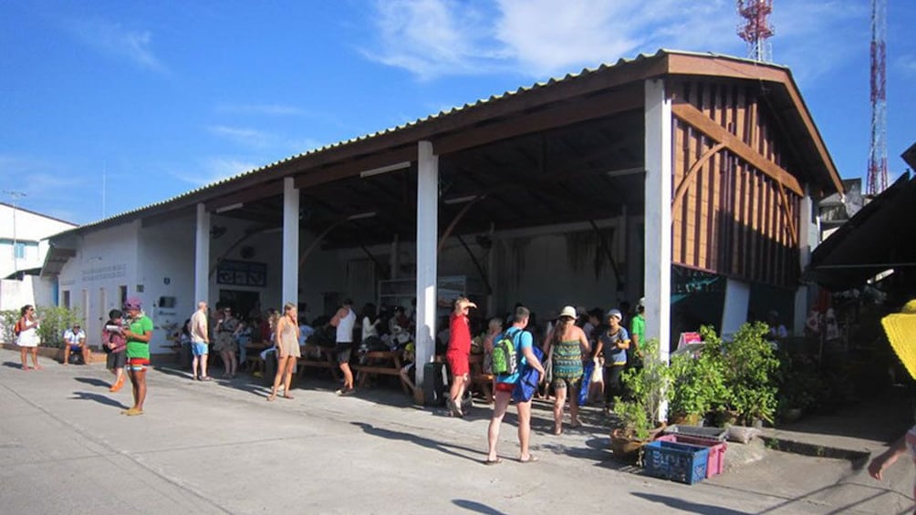Similan Islands Snorkeling Trip from Krabi 