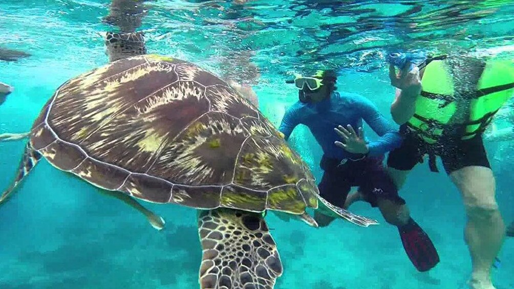 Similan Islands Snorkeling Trip from Krabi