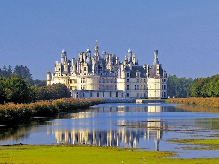 Castle in the Loire Valley